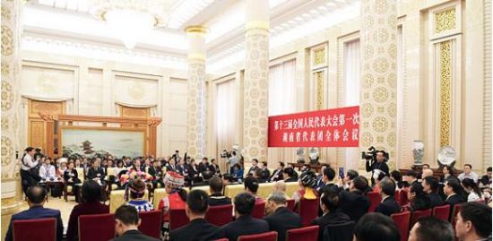 3月8日下午，湖南代表团第四次全体会议向媒体开放