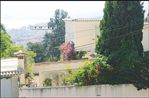 别墅位于法国戛纳松树大道7号。凤凰网 别墅位于法国戛纳松树大道7号。凤凰网