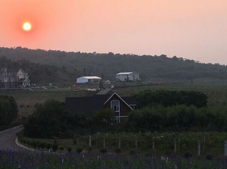 静谧的巴布洛生态农场在夕阳的映照下别有一番异国风味！