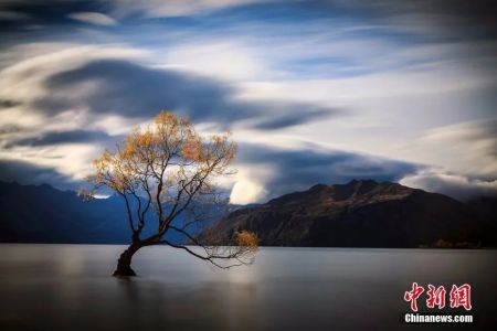 　　资料图：新西兰瓦纳卡湖LakeWanaka。中新社发 张钟明 摄