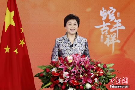 在中国农历蛇年春节来临之际，中国国务院侨务办公室主任陈旭在北京发表新春贺词，向广大海外侨胞和归侨侨眷致以新春问候和美好祝福。中新社记者 韩海丹 摄